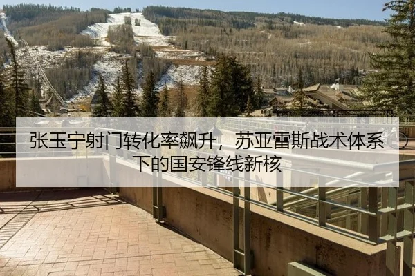 张玉宁射门转化率飙升，苏亚雷斯战术体系下的国安锋线新核